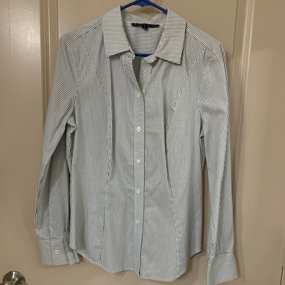 Antonio Melani Pinstripe Button Down